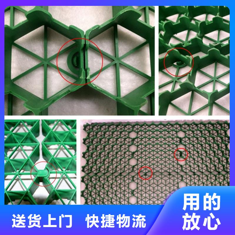 【植草格】,排水板优质材料厂家直销