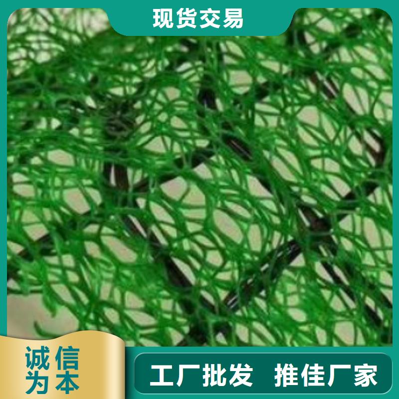 【三维植被网化粪池水泥好品质经得住考验】