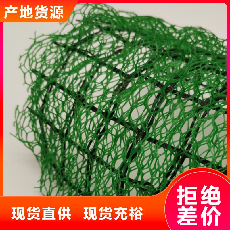 三维植被网_【植草格】用心制作