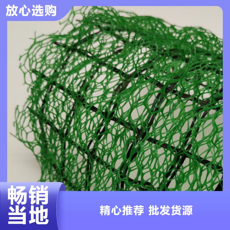 三维植被网【排水板】现货直供