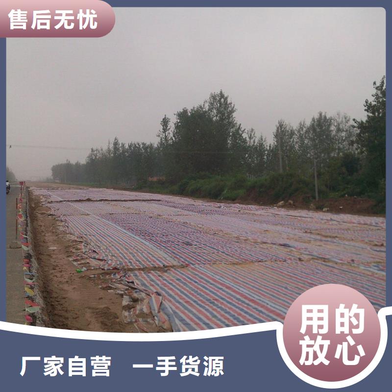 塑料雨布彩条布价格实惠的厂家