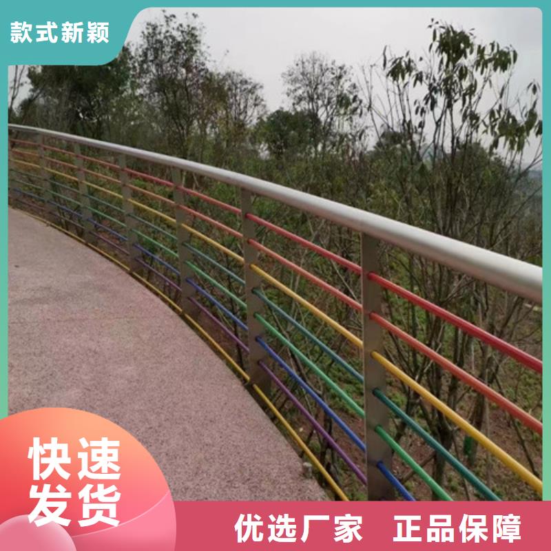 河道防撞护栏来厂考察