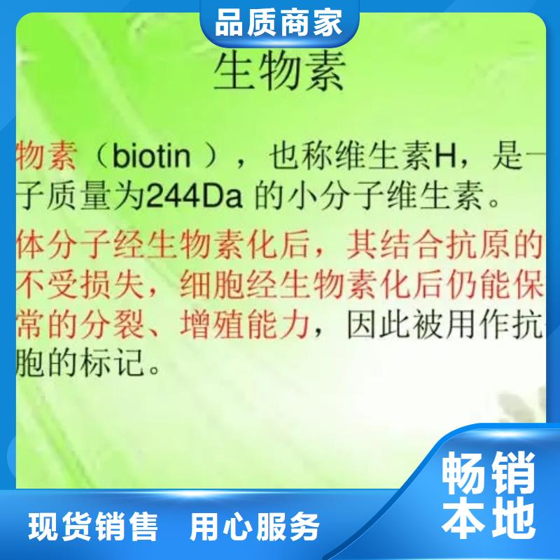 生物素批发