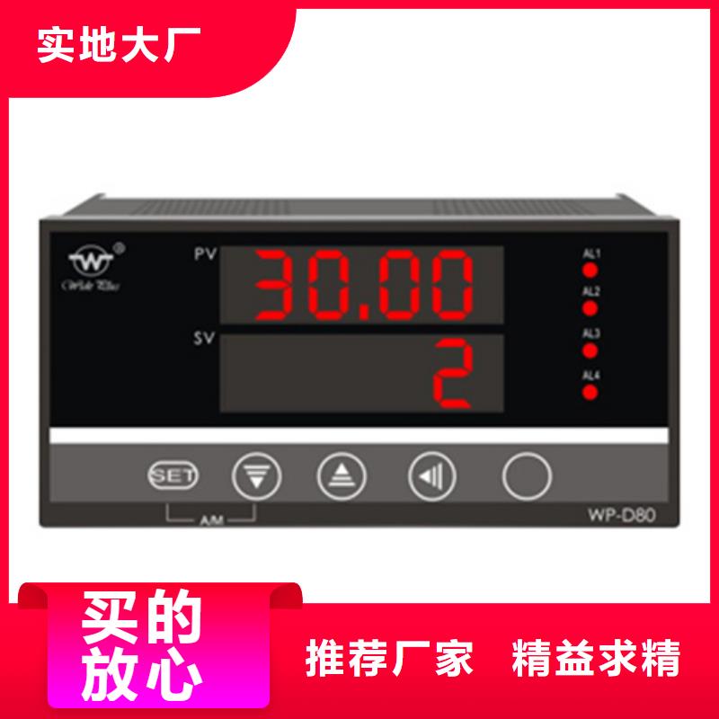 一体化温度变送器 WZPK-WIKE-2088-L100 -200-50℃送货上门