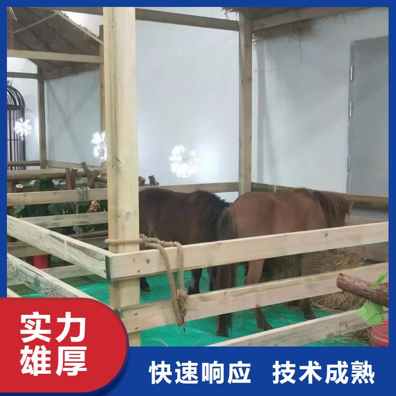 马戏团/羊驼小香猪宠物出租诚信放心