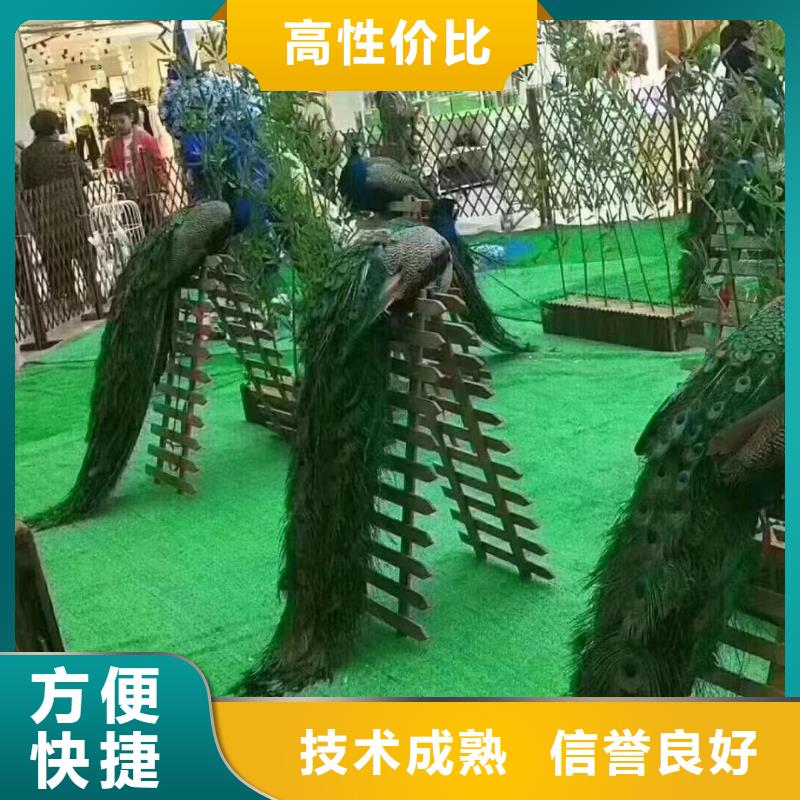 羊驼出租图片案例