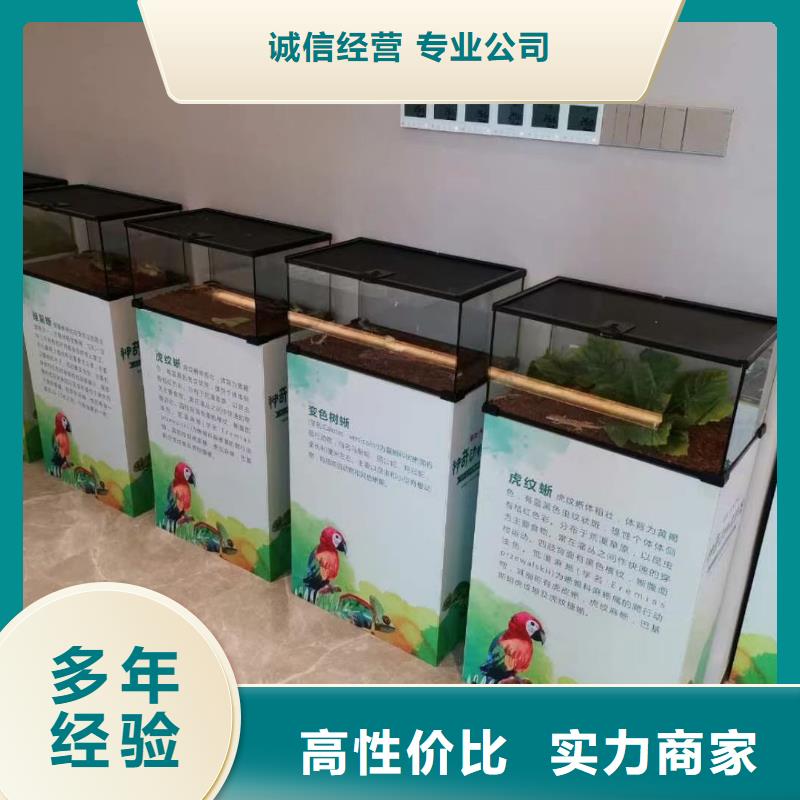 马戏团/羊驼_海洋展租赁售后保障