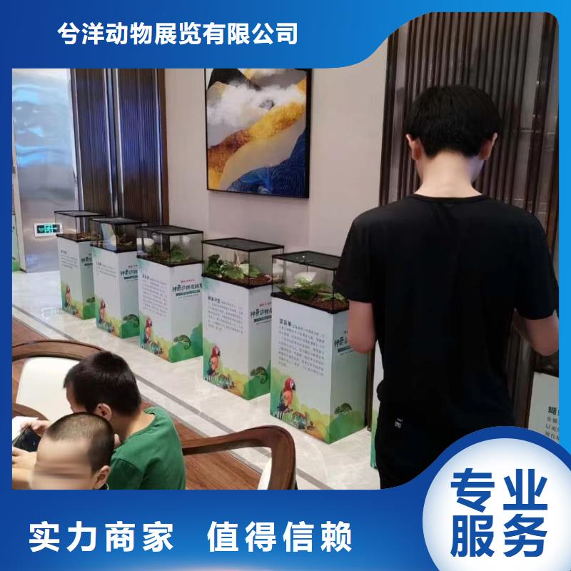 萌宠动物展租赁图片案例