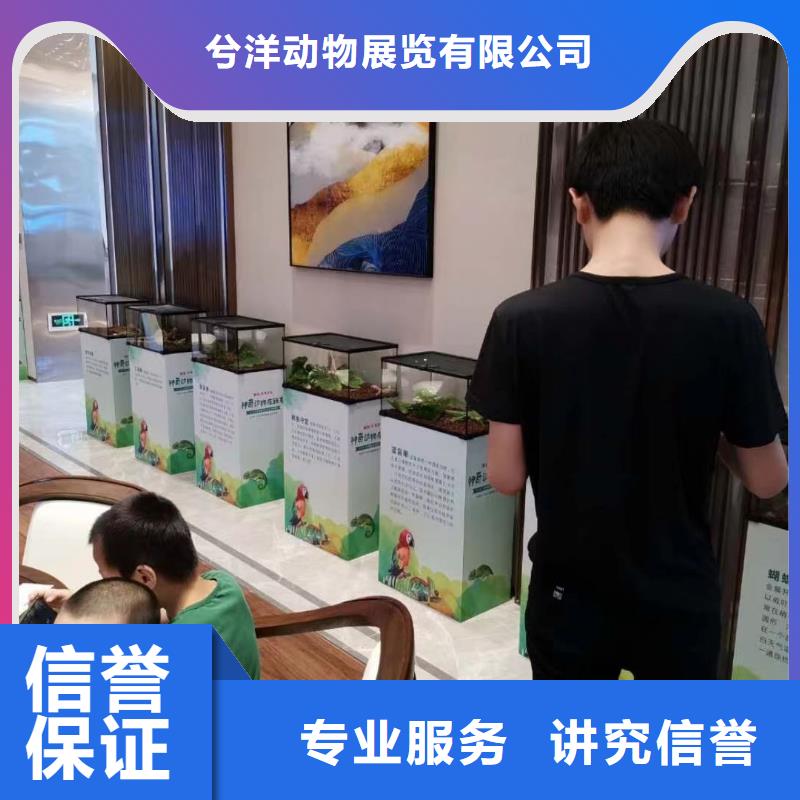 马戏团/羊驼出租企鹅专业服务