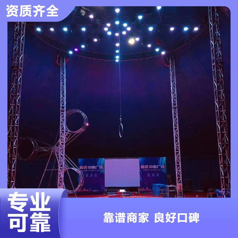 马戏团/羊驼,海洋展租赁快速