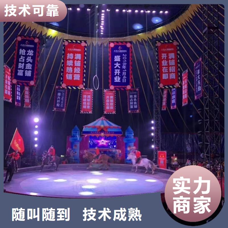 马戏团/羊驼 海狮表演出租高效