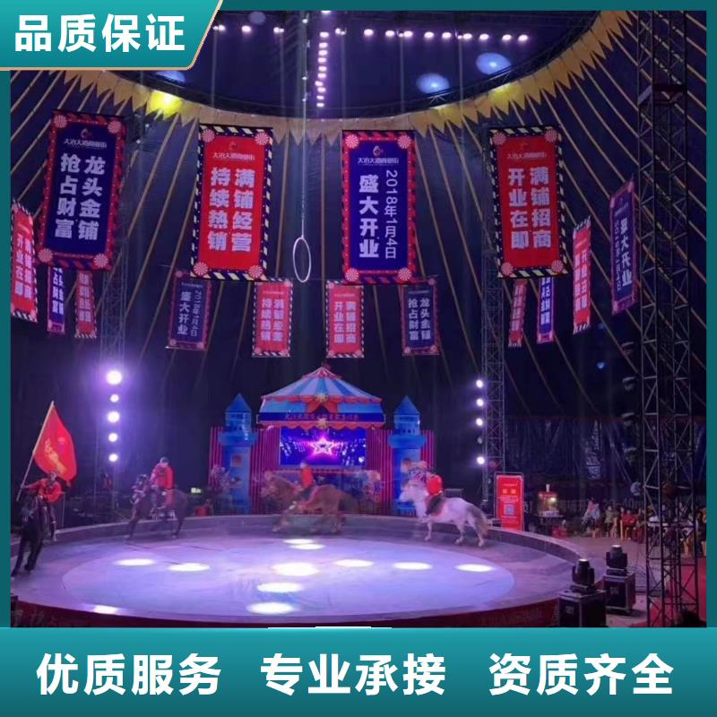 【马戏团/羊驼】,【出租海狮表演】全市24小时服务