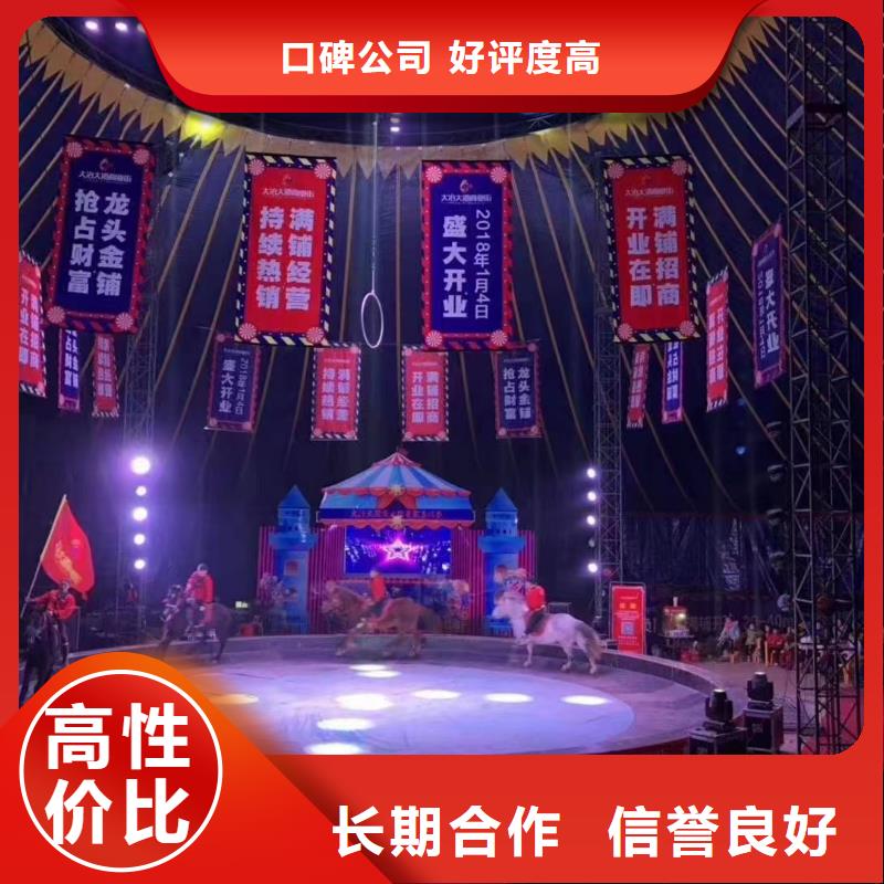 马戏团/羊驼【海狮表演租赁】长期合作