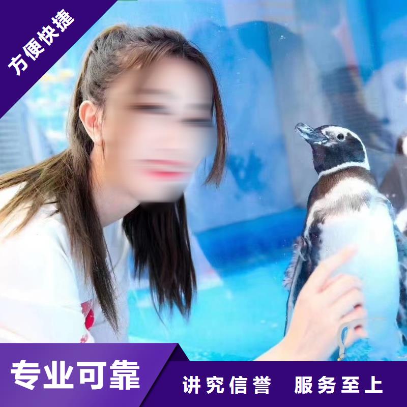 海洋生物展租赁业内好评