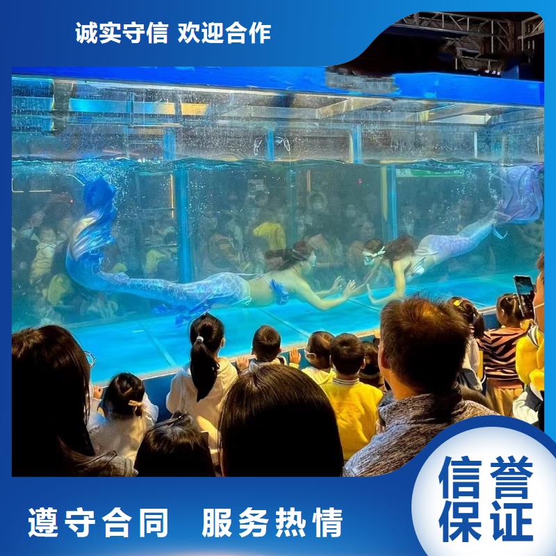 海洋主题动物表演羊驼出租实力商家