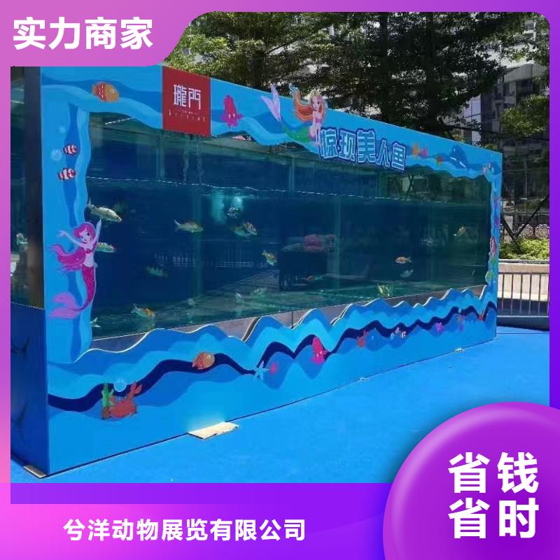 海洋展出租节日活动