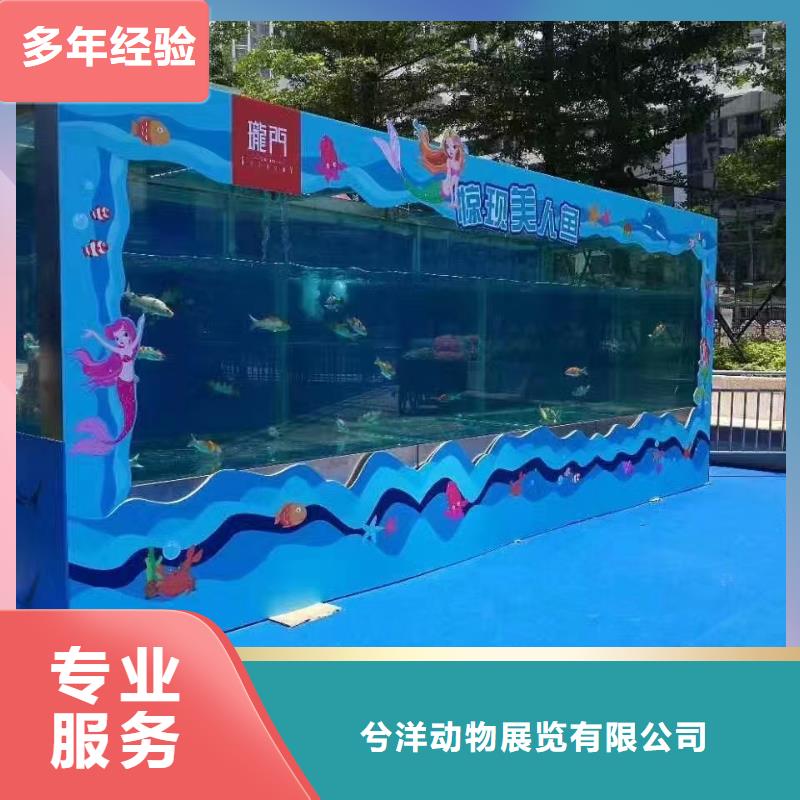 海洋生物展租赁公司全国承接