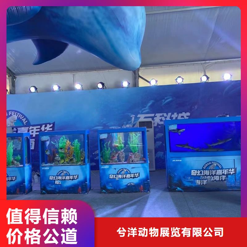 海洋展租赁活跃气氛