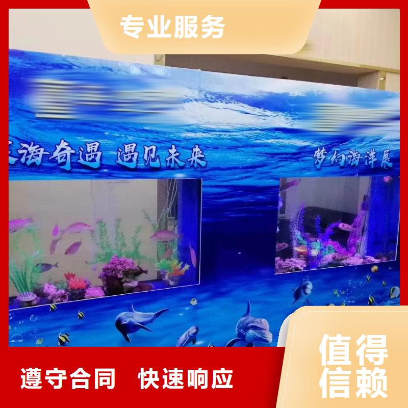 海洋主题动物表演_马戏团表演出租租赁行业口碑好