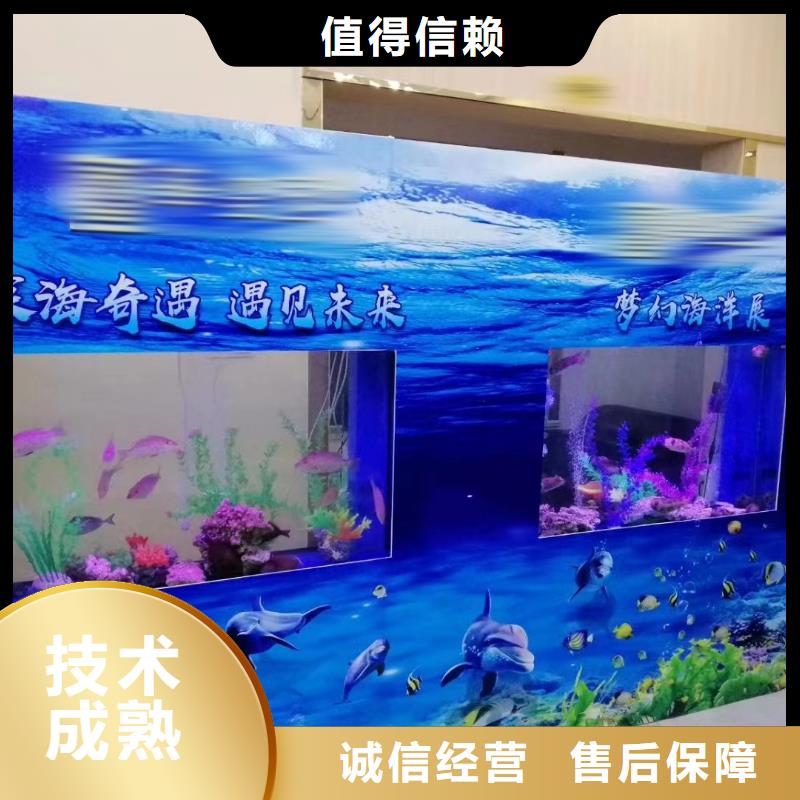 海洋生物展租赁公司节日活动