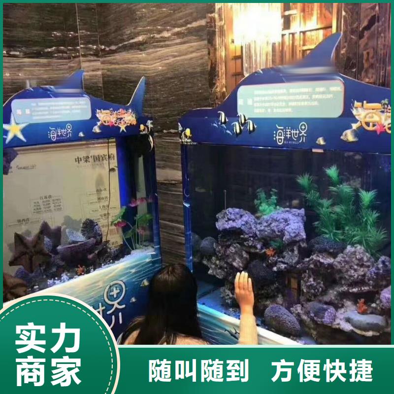 出租海洋生物展实力厂家