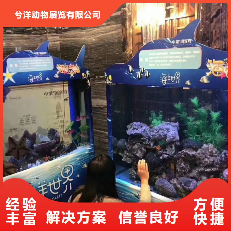 海洋展出租联系方式