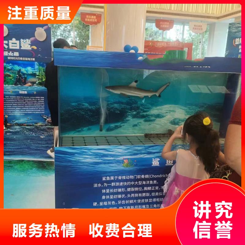 海洋生物鱼缸展出租免费策划