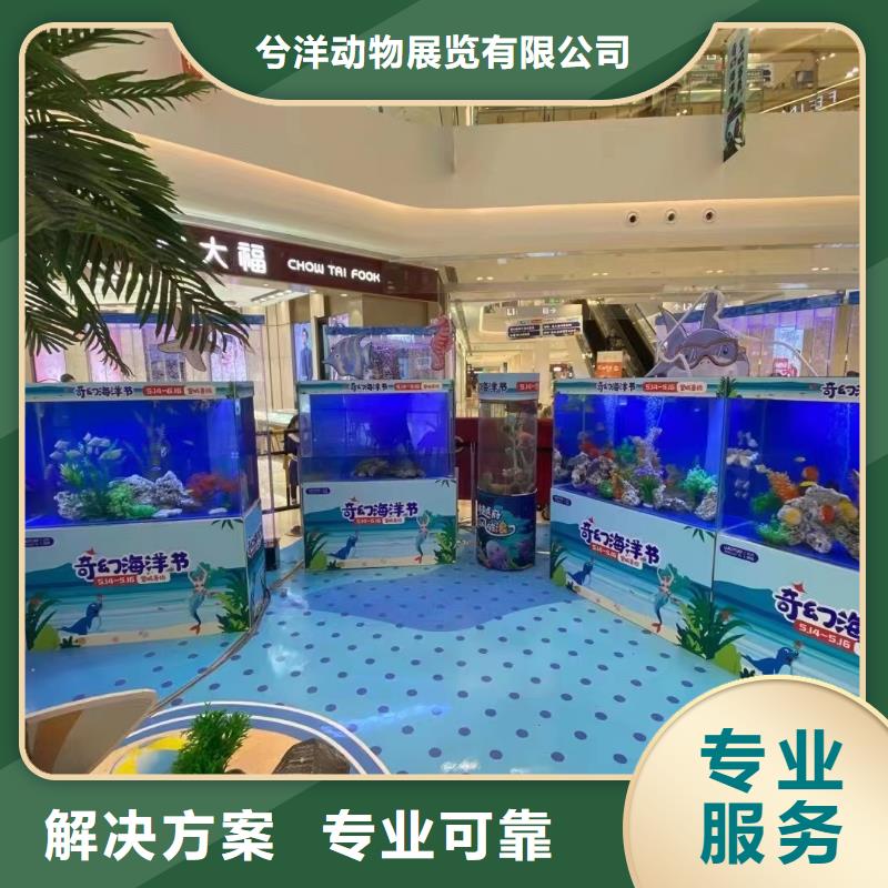 海洋展出租公司全国承接