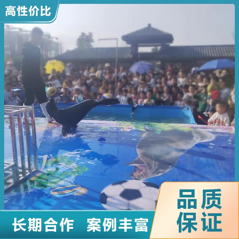 【海洋主题动物表演水族海洋展一站式服务】