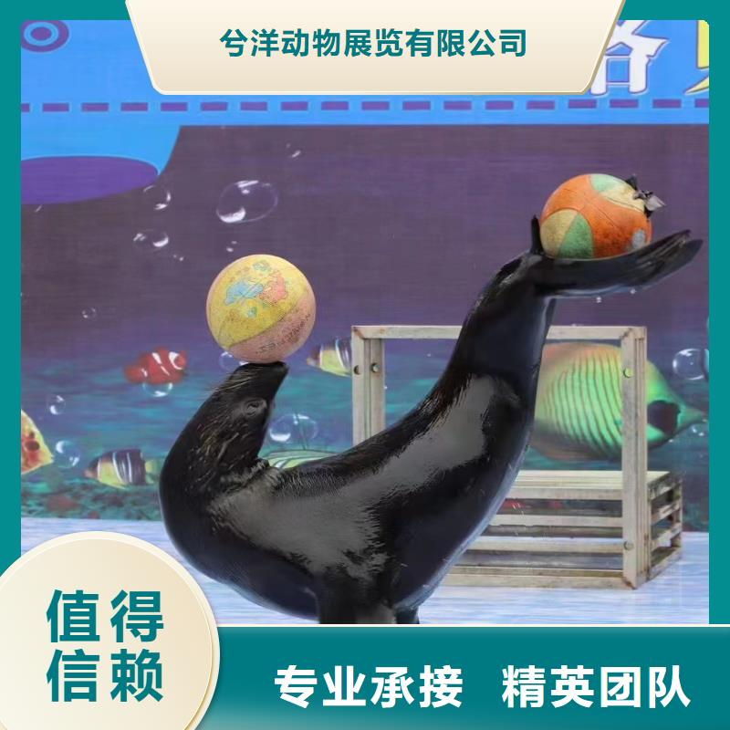 海洋生物展出租