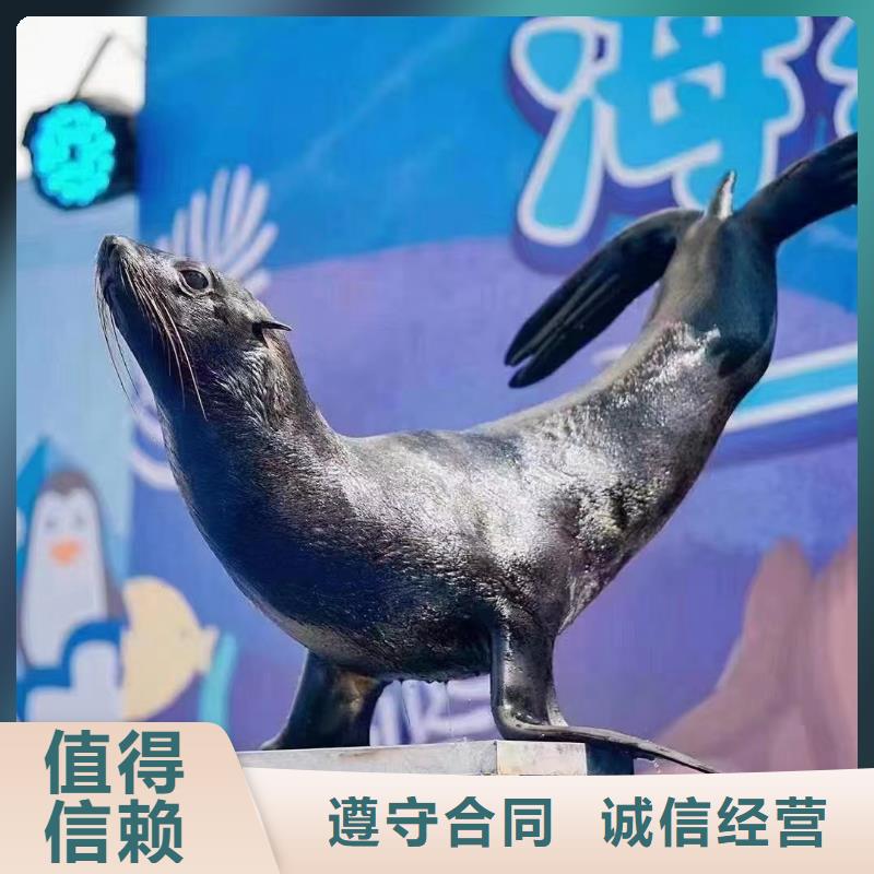 海洋生物展租赁联系方式