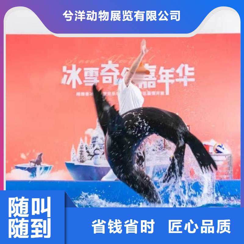 海洋主题动物表演海洋展租赁高效