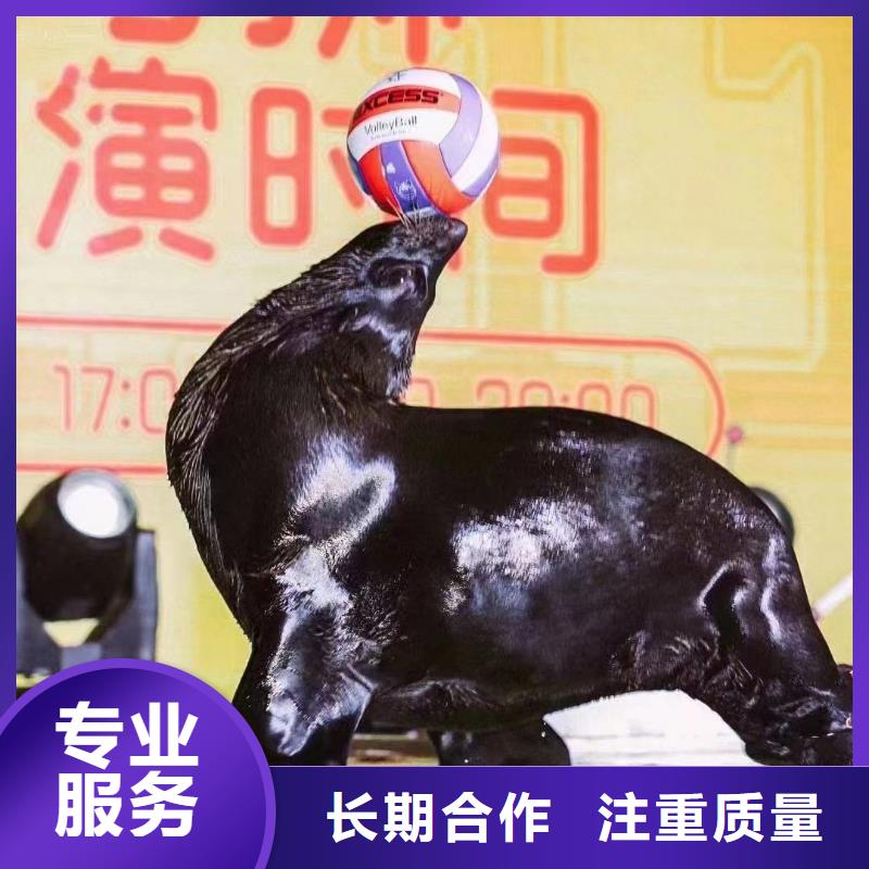 海洋生物鱼缸展出租活跃气氛