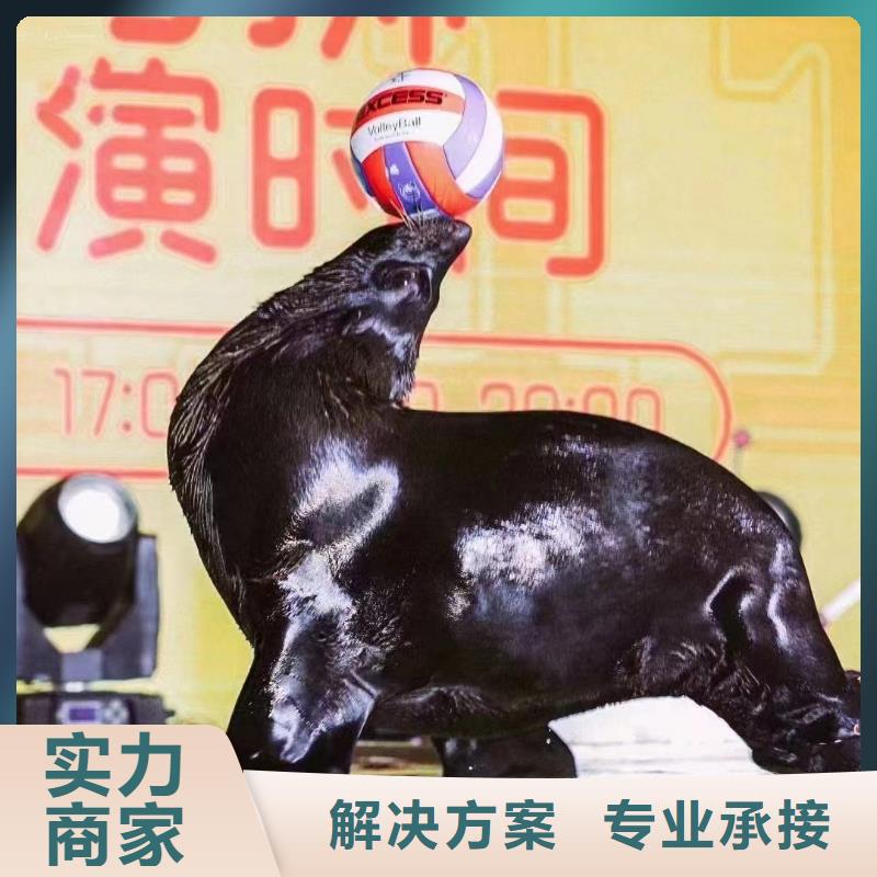 海洋生物鱼缸展租赁资源丰富