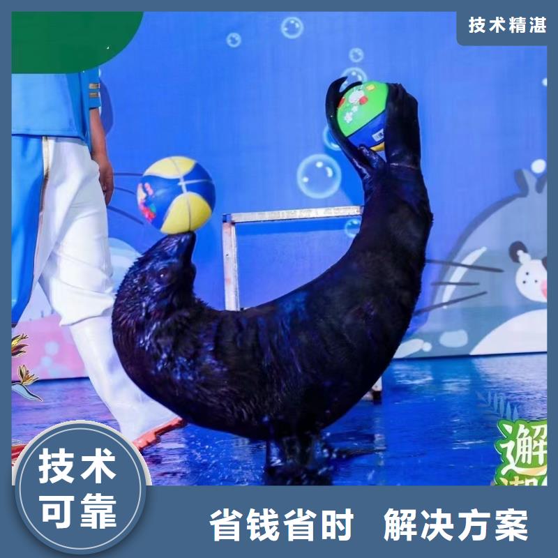 海洋生物展租赁-海洋生物展租赁定制