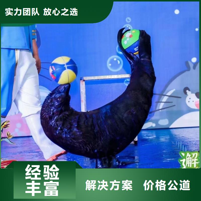 海洋生物展租赁公司资源丰富