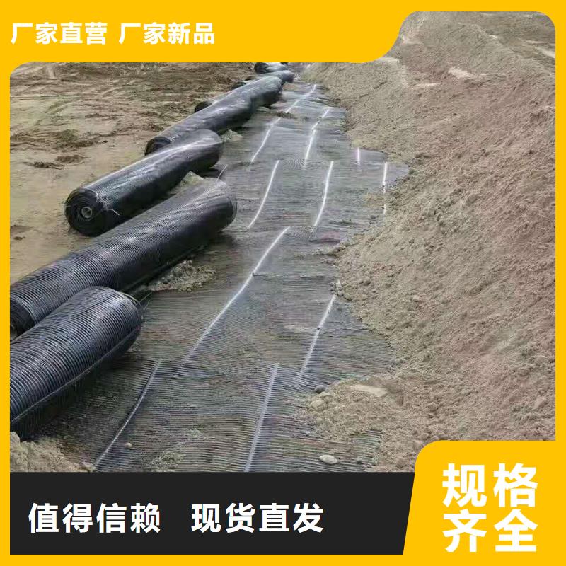 钢塑土工格栅批发价格