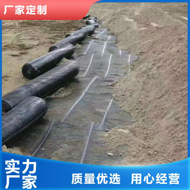 双向钢塑土工格栅单价