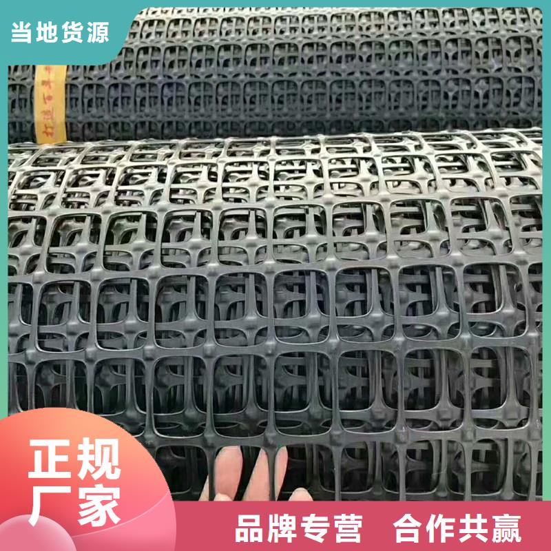 双向塑料土工格栅价格