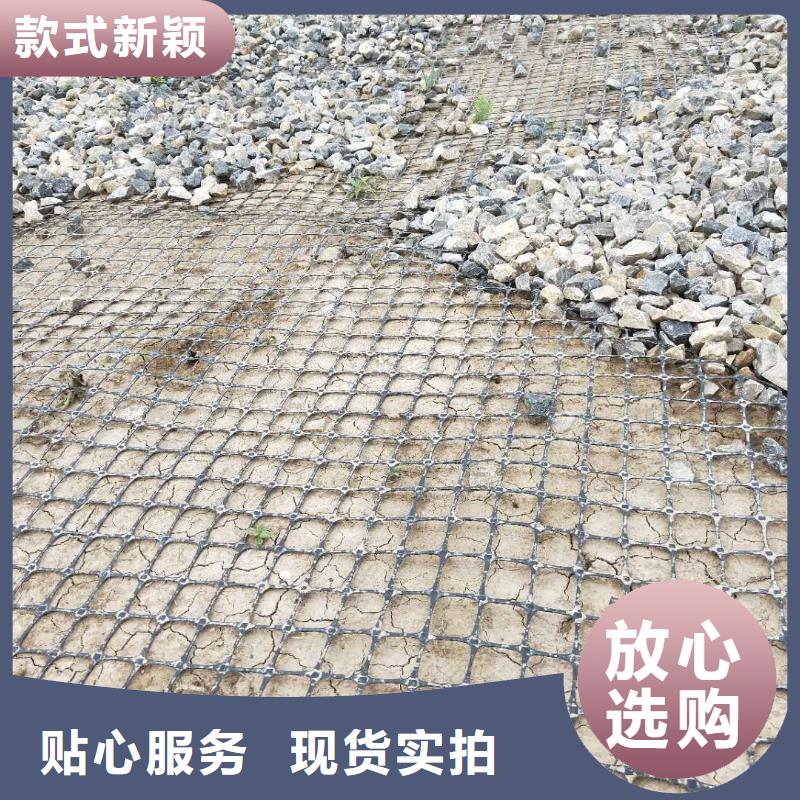 双向塑料土工格栅型号齐全