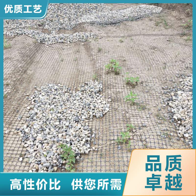 双向土工格栅单价