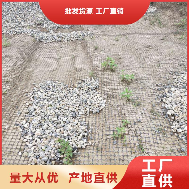 双向塑料土工格栅型号齐全