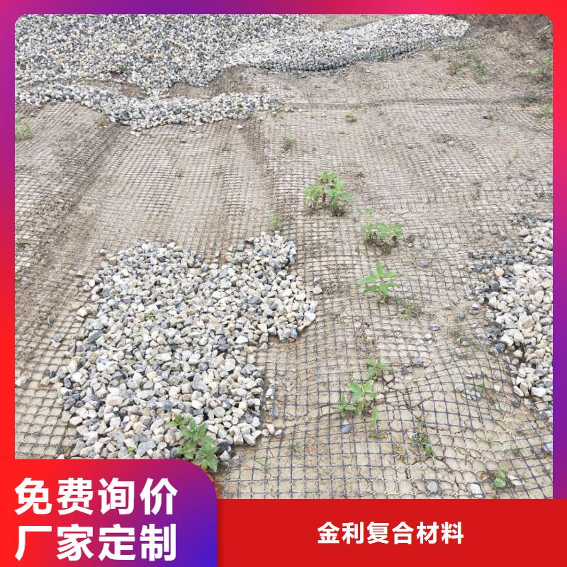 土工格栅\抗裂贴塑料土工格栅海量库存