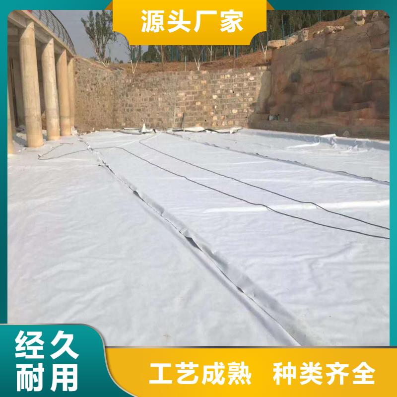 【土工布】HDPE复合排水板产地批发