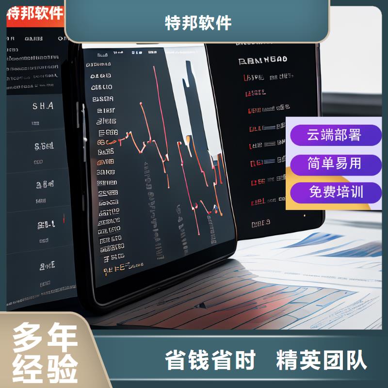 软件,进销存管理工具公司