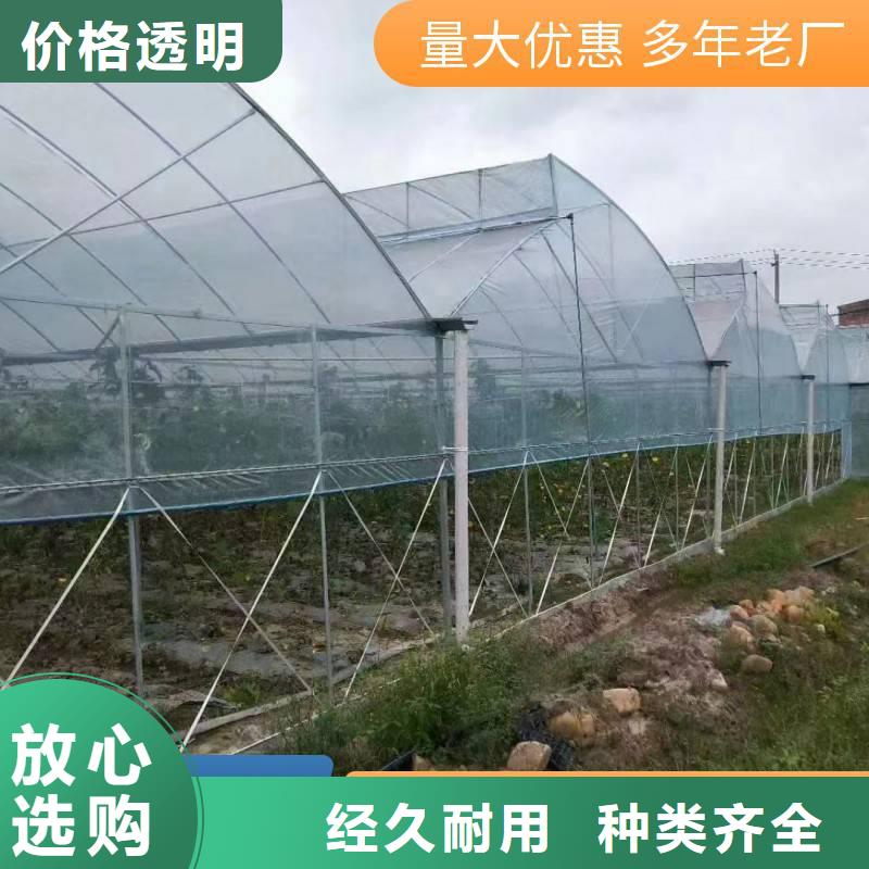 6米蔬菜大棚管出厂价格【其