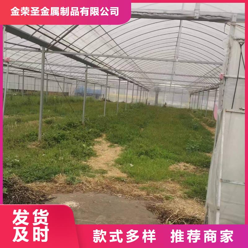 芒果大棚管在线报价