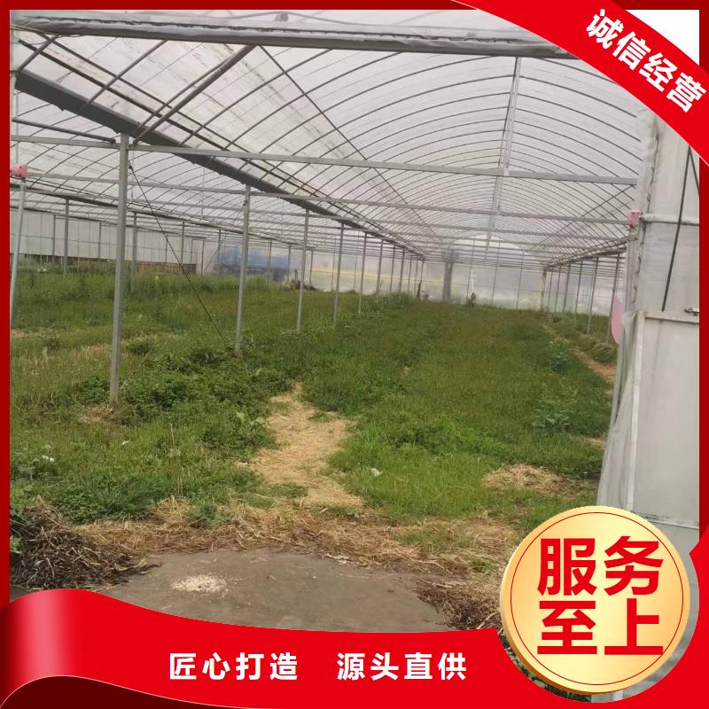 桑植县养殖大棚椭圆管工厂直销