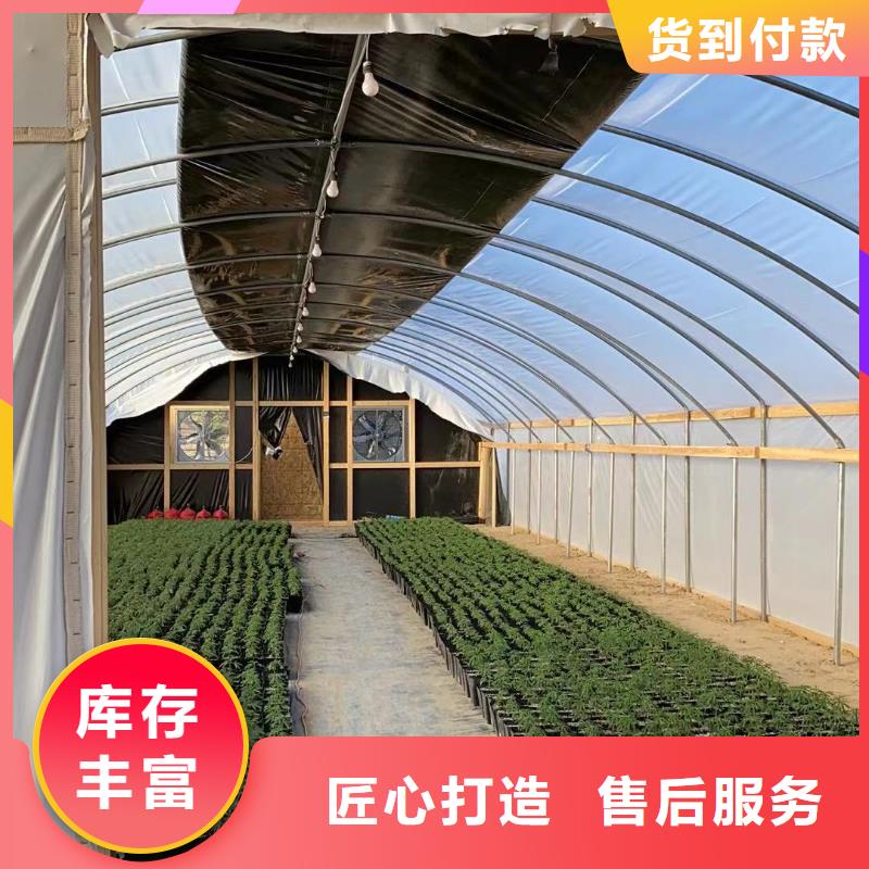 金城江区利得进口黑白膜价格优惠2025乡村振兴计划