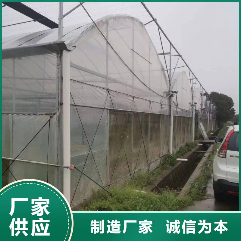 碾子山区草莓大棚直销价格